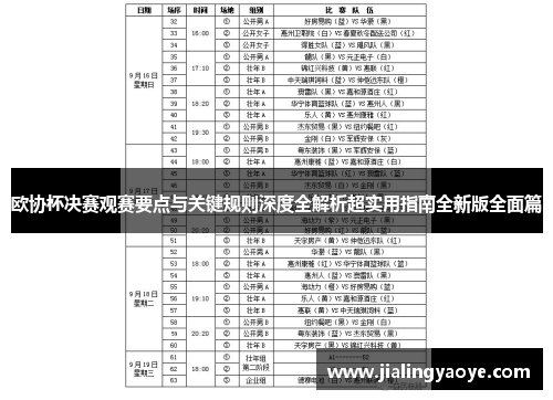 欧协杯决赛观赛要点与关键规则深度全解析超实用指南全新版全面篇